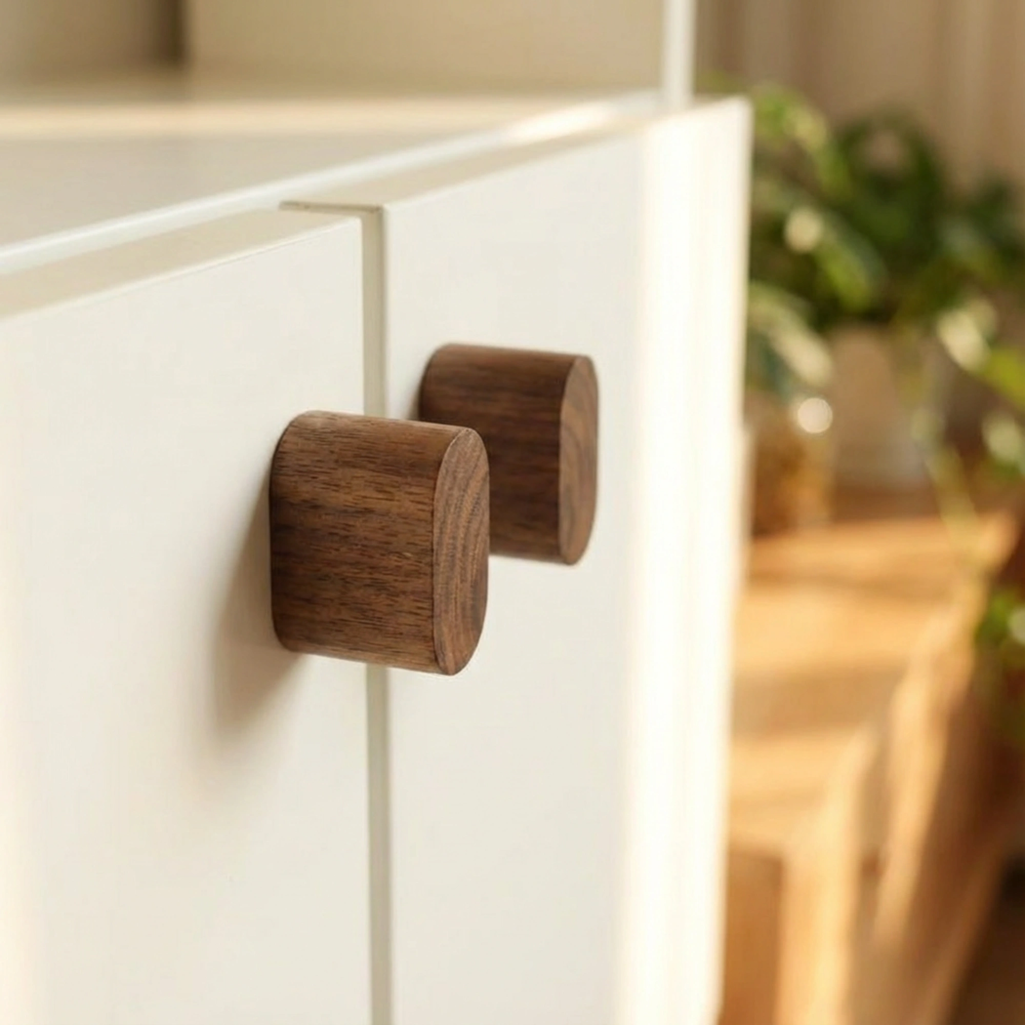JK006 Knopp 2